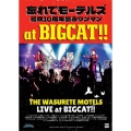 忘れてモーテルズ結成10周年記念ワンマンat BIGCAT!!!＜限定生産盤＞