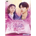 あなたの運命を書いています DVD-BOX