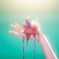 光のすみか/BROKEN GLASS＜通常盤＞