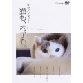 ネコメンタリー 猫も、杓子も。