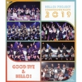 Hello! Project COUNTDOWN PARTY 2019 ～GOOD BYE & HELLO!～