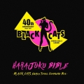HARAJUKU BIBLE ～BLACK CATS Early Times Complete Box～ [4SHM-CD+CD+DVD+ブックレット+EPジャケ・カード]＜生産限定盤＞