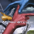 HOME GROWN＜初回限定特別価格盤＞