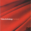 Video anthology