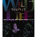 ワイルドライフ 東南アジア ボルネオ島 華麗! 巧妙! 鳥たちの空中ハンティング