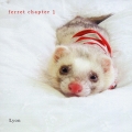 フェレット チャプター1