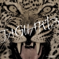 JAGUAR '13＜通常盤＞