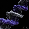 DNA [CD+Blu-ray Disc]