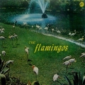 フラミンゴス＜生産限定盤＞