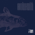 coelacanth