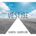 VESTIGE -40th HISTORY ALBUM-