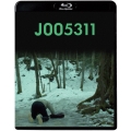 J005311