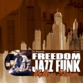 D.L Presents FREEDOM JAZZ FUNK MELLOW STORM