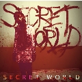 SECRET WORLD (TYPE-C) [CD+DVD]