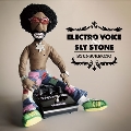 Electro Voice Sings Sly Stone