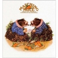 Matching Mole : Expanded Edition