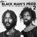 Soul Jazz Records Presents Studio One Black Man's Pride 2