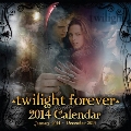 Twilight / 2014 Calendar (Pyramid)