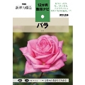 バラ NHK趣味の園芸 12か月栽培ナビ 1