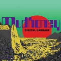 Digital Garbage