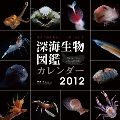 深海生物カレンダー 2012年 カレンダー
