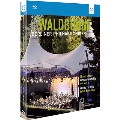 Waldbuhne Box