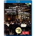 A Flight through the Orchestra - Brahms: Symphony No.2