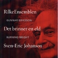 S.E.Johanson: Burning Bright