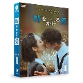 時をかける愛 DVD-BOX II