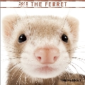 (ミニ)THE FERRET 2018 カレンダー