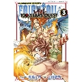 FAIRY TAIL 100 YEARS QUEST(3)