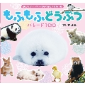 もふもふどうぶつ パレード100