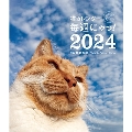 猫カレンダー 毎週にゃっ! 2024