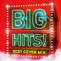 BIG HITS! - Best Cover Mix!! Mixed by DJ K-funk