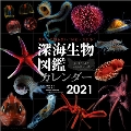 深海生物図鑑 カレンダー 2021