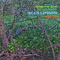 Summer Sun/Like Stone (Sean Ono Lennon Remixes)