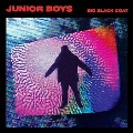Big Black Coat<限定盤>