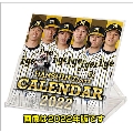 卓上 阪神タイガース カレンダー 2023