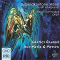 GOUNOD:AVE MARIA & MISSEN:GOUNOD, RABE:MESSE BREVE NO.7/J.S.BACH, GOUNOD, RABE:AVE MARIA/ETC :THORALF HILDEBRANDT(cond)/JUNGEKANTOREI HOSEL/MARTIN SCHMEDING(org)/ETC