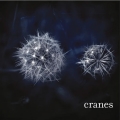 Cranes＜限定盤＞