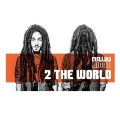 2 The World