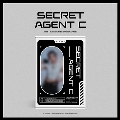 LEE CHAE YEON 2024 SEASON'S GREETINGS [Secret Agent C] [CALENDAR+GOODS]