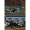 F-2&F-4 デモフライト・スペシャルVol.4