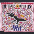 BLACKBIRD