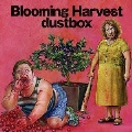【ワケあり特価】Blooming Harvest