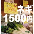 ネギ1500円