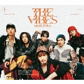 THE VIBES [CD+Blu-ray Disc]<初回盤B>
