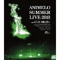 Animelo Summer Live 2013 FLAG NINE 8.23