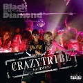 CRAZY TRIBE feat.HAYATO/PERSONA