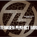 TEBASEN PERFECT MIX-tebasaki sensation DJ mix Vol.2- Mixed by DJ SZNA